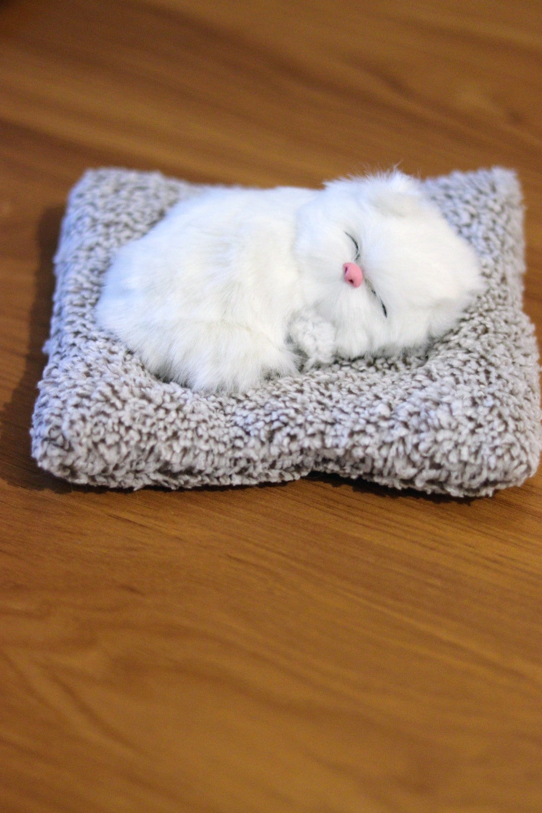 Sleeping Cute Cat Soft Toy for Car Dashboard & Home Decor with Realistic Sound | Onebest