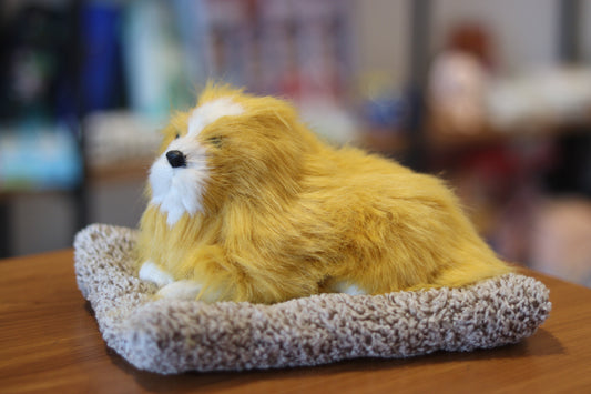 Sleeping Lion Plush Soft Toy for Kids | Cute Cushion Stuffed Animal | Onebest