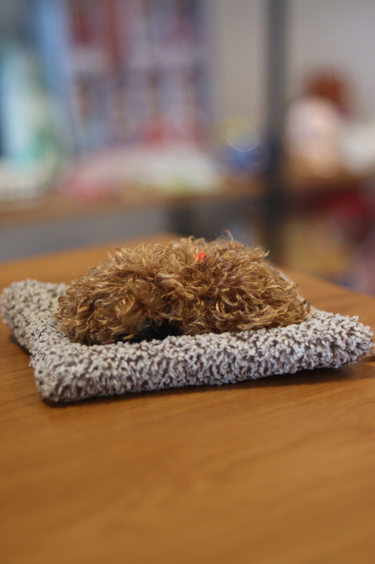 Sleeping Dog Plush Soft Toy for Kids | Cute Cushion Stuffed Animal | Onebest