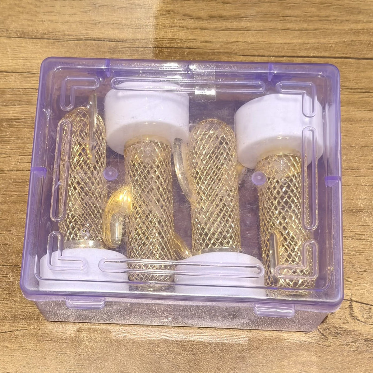 Four cactus-shaped LED lights with gold mesh bodies and white bases are packed neatly in a clear plastic box.