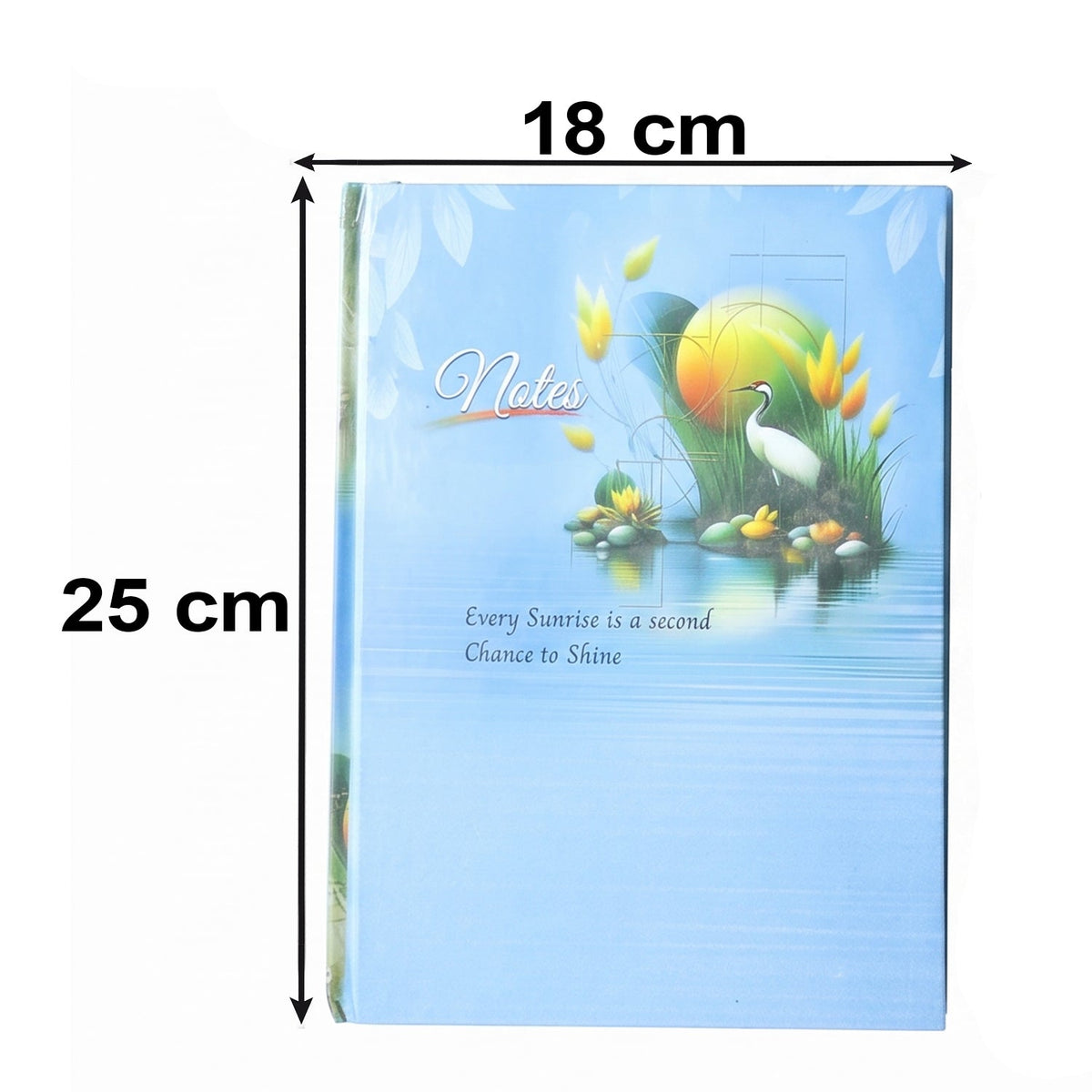 A light blue hardbound ruled notebook with a nature design on the cover, showing dimensions of 25 cm by 18 cm.
