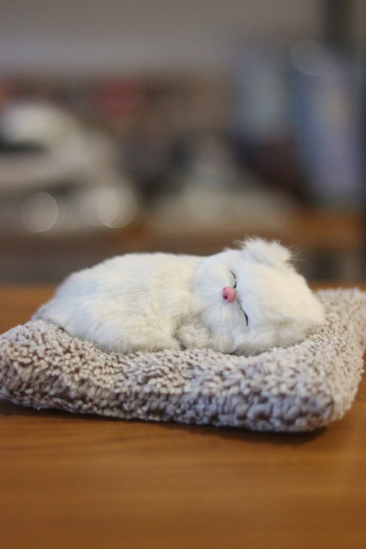 Sleeping Cute Cat Soft Toy for Car Dashboard & Home Decor with Realistic Sound | Onebest