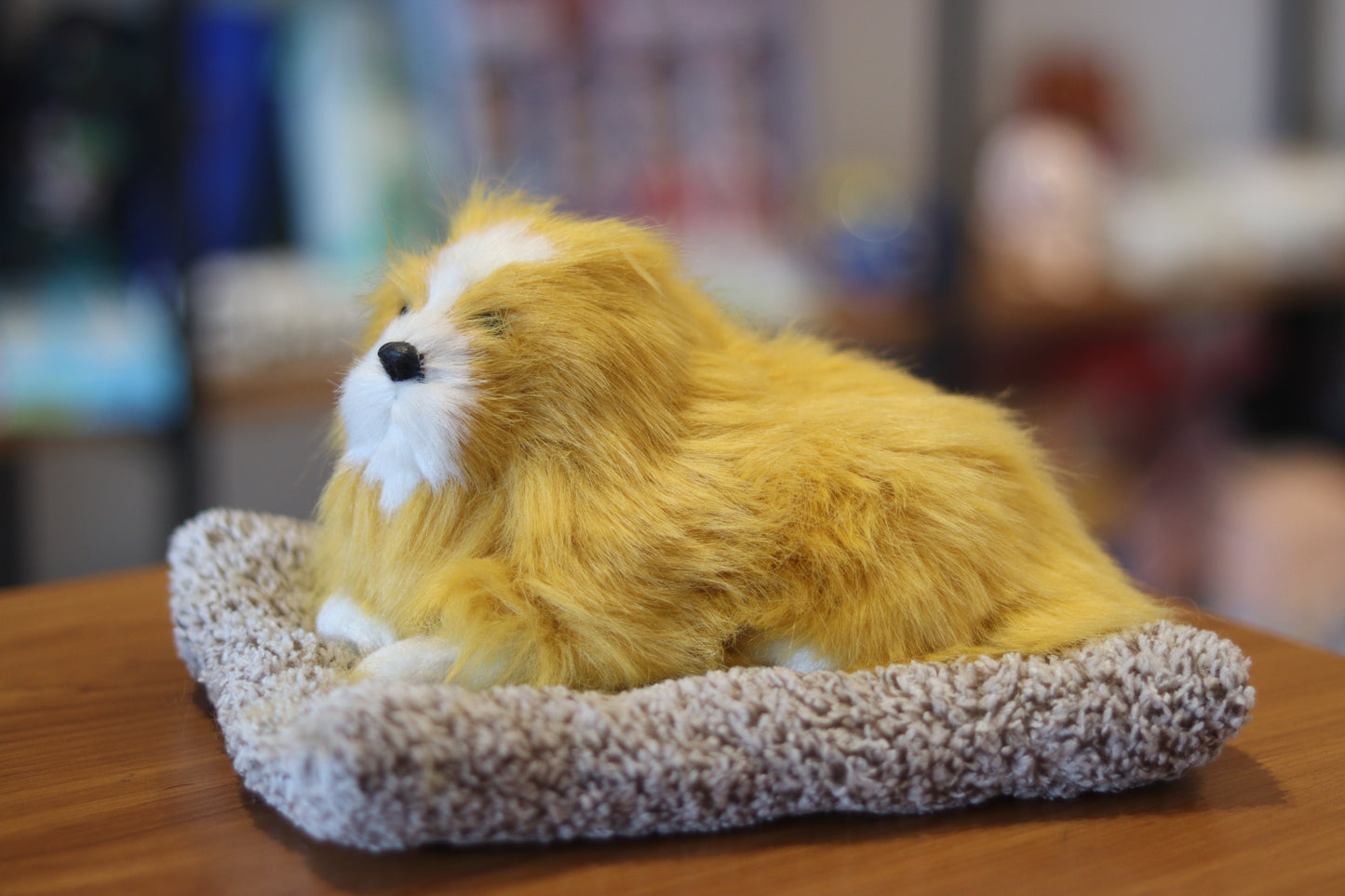 Sleeping Lion Plush Soft Toy for Kids | Cute Cushion Stuffed Animal | Onebest