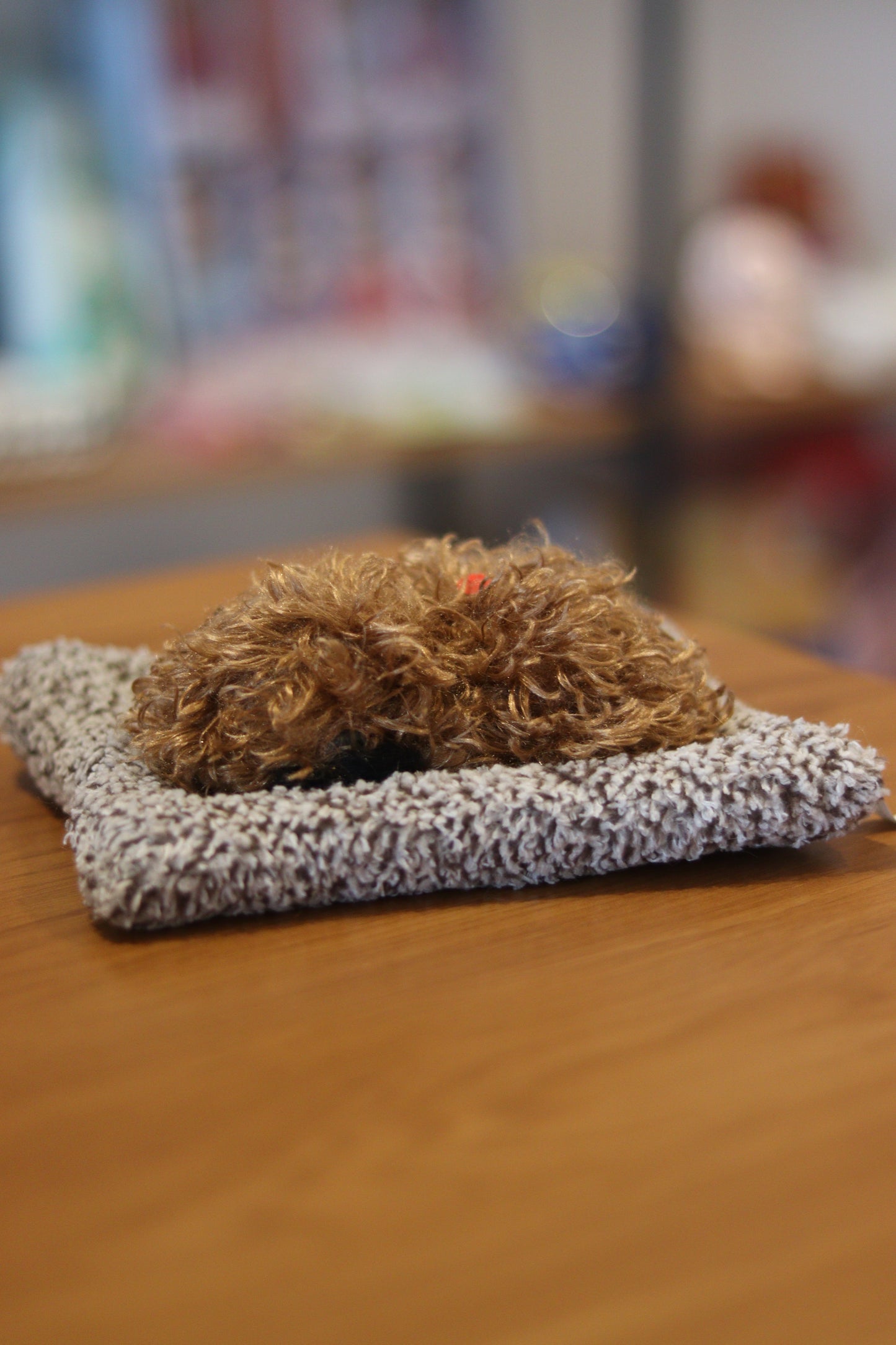 Sleeping Dog Plush Soft Toy for Kids | Cute Cushion Stuffed Animal | Onebest